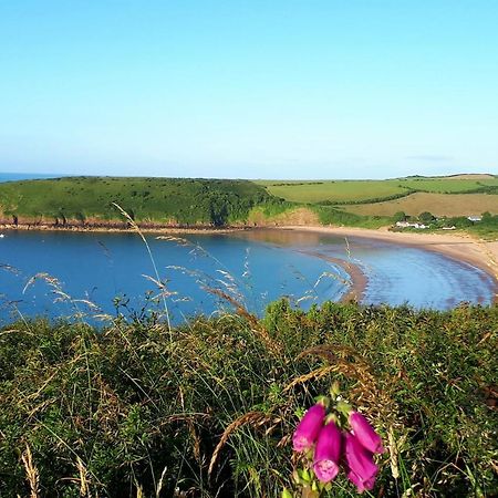 A Beach Holiday In Pembrokeshire Exteriör bild