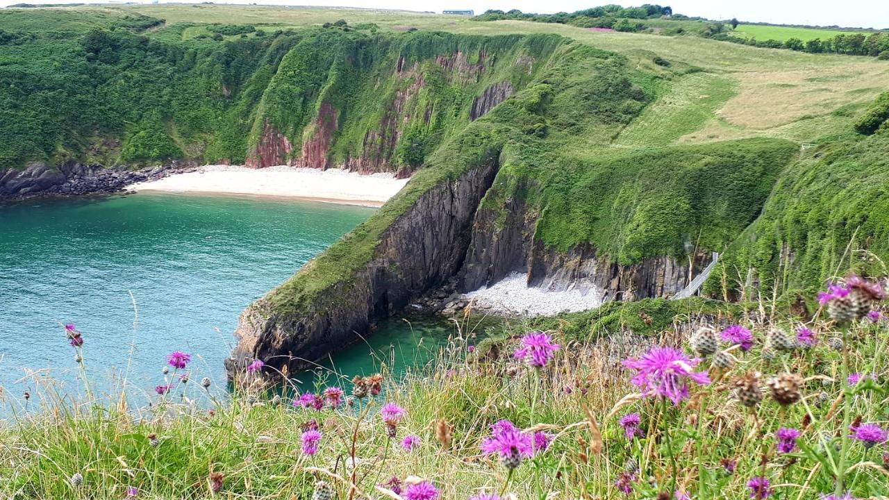 A Beach Holiday In Pembrokeshire Exteriör bild